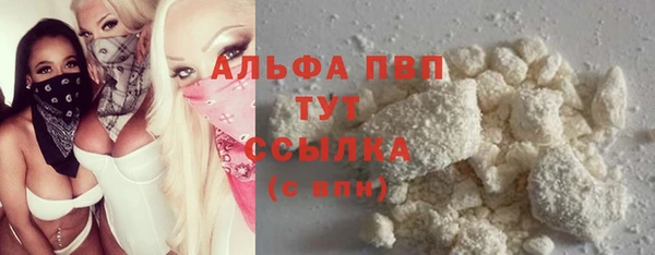 ПСИЛОЦИБИНОВЫЕ ГРИБЫ Богданович
