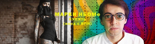 мдпв Богородск