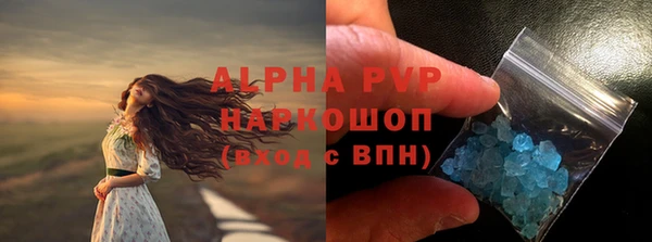 ПСИЛОЦИБИНОВЫЕ ГРИБЫ Богданович