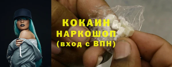 мдпв Богородск