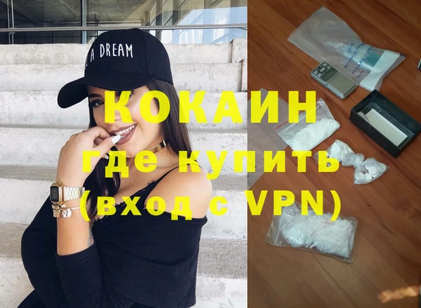 ПСИЛОЦИБИНОВЫЕ ГРИБЫ Богданович