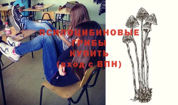 ПСИЛОЦИБИНОВЫЕ ГРИБЫ Богданович