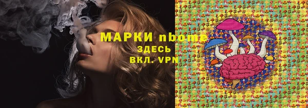мдпв Богородск