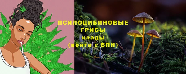 мдпв Богородск