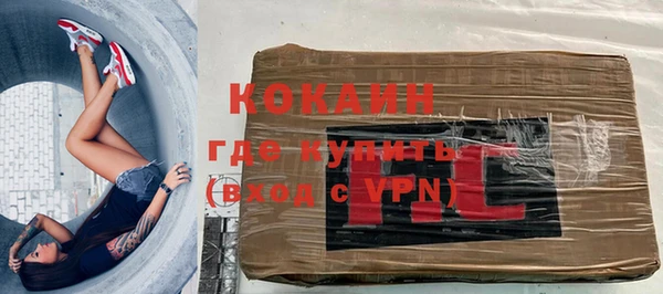 ПСИЛОЦИБИНОВЫЕ ГРИБЫ Богданович