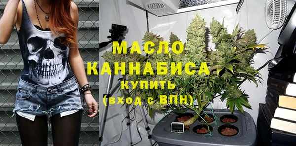 мдпв Богородск