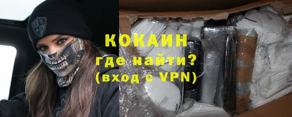 ПСИЛОЦИБИНОВЫЕ ГРИБЫ Богданович