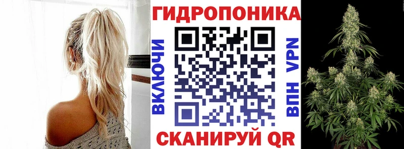 Канабис марихуана  Купить закладки  Новодвинск 